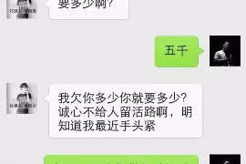 托克逊为什么选择专业追讨公司来处理您的债务纠纷？